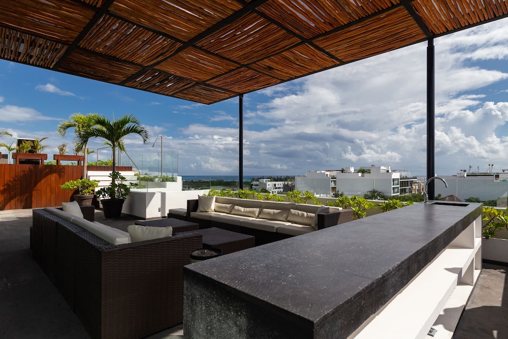 Areca 301 by CocoBR