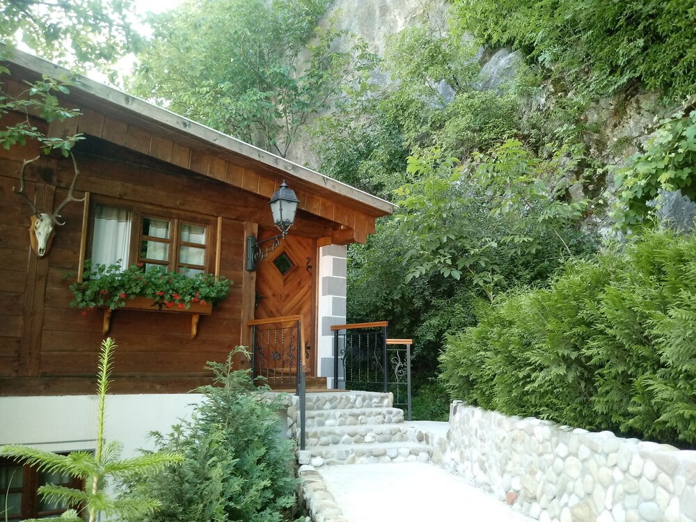 Photo 46