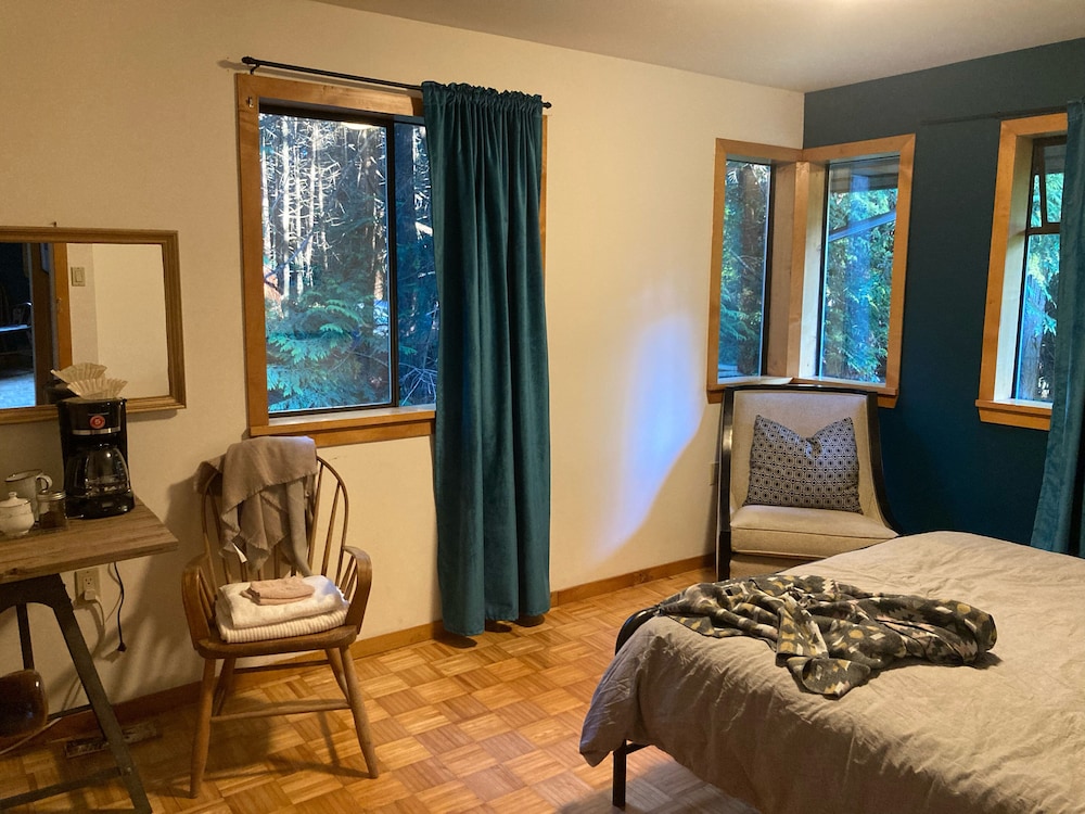 The Forest Cabin