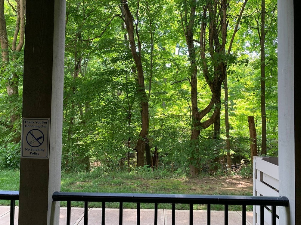Polaris King Flat Pet-friendly Nature Views