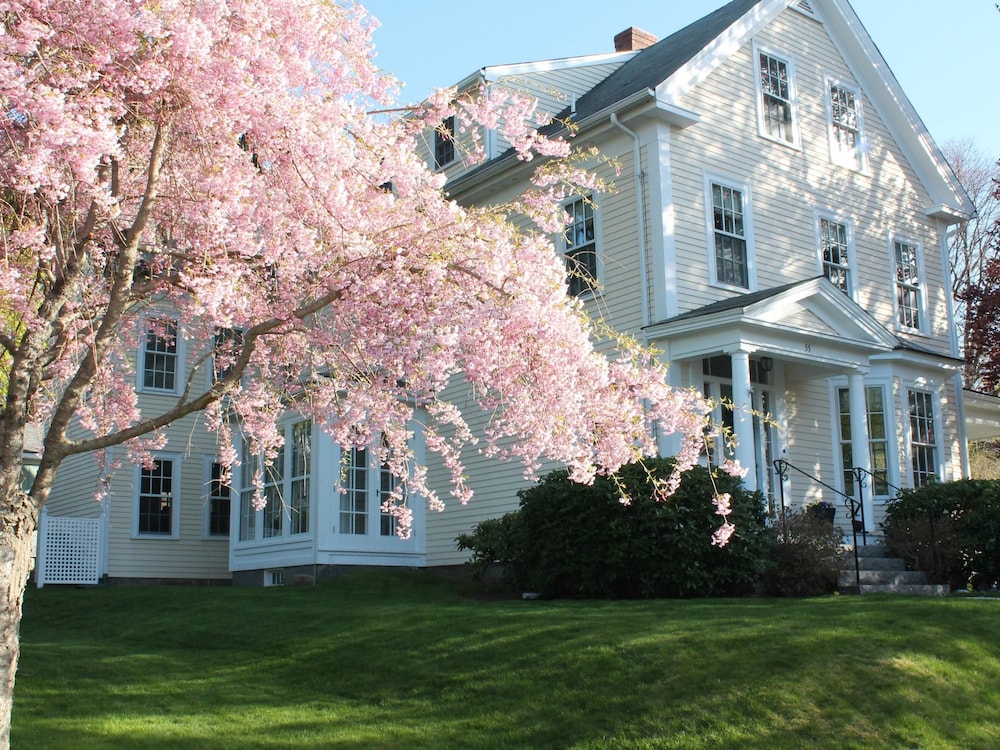 Beech Tree Bed and Breakfast