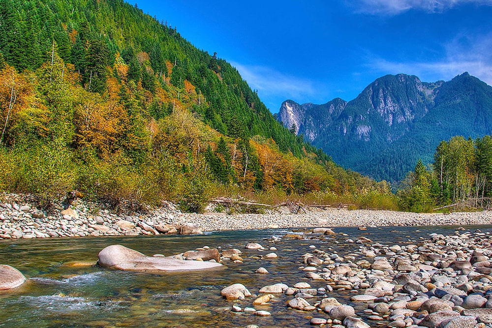Three Enchanting Riverfront Cabins: Hot Tub Access