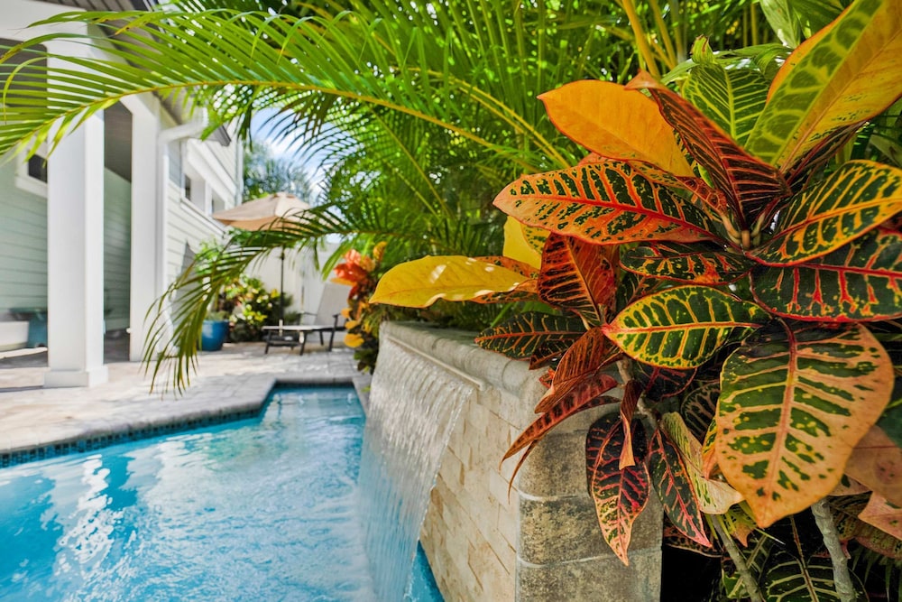 Plunge Pool Pack N Play BBQ Walk Downtown