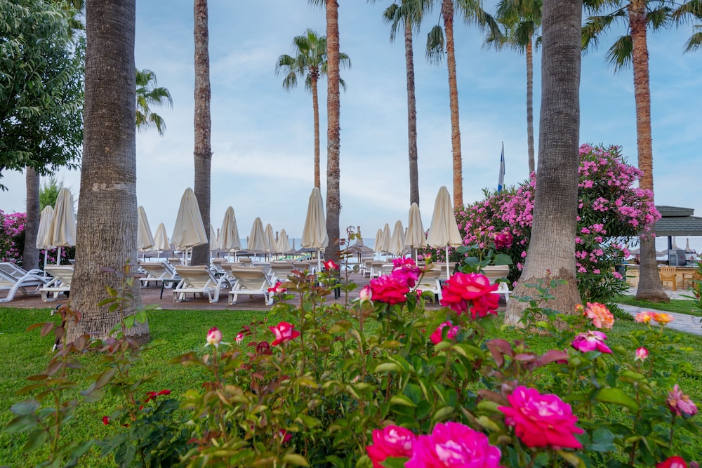 Meryan Otel - Her Şey Dâhil - Image 30