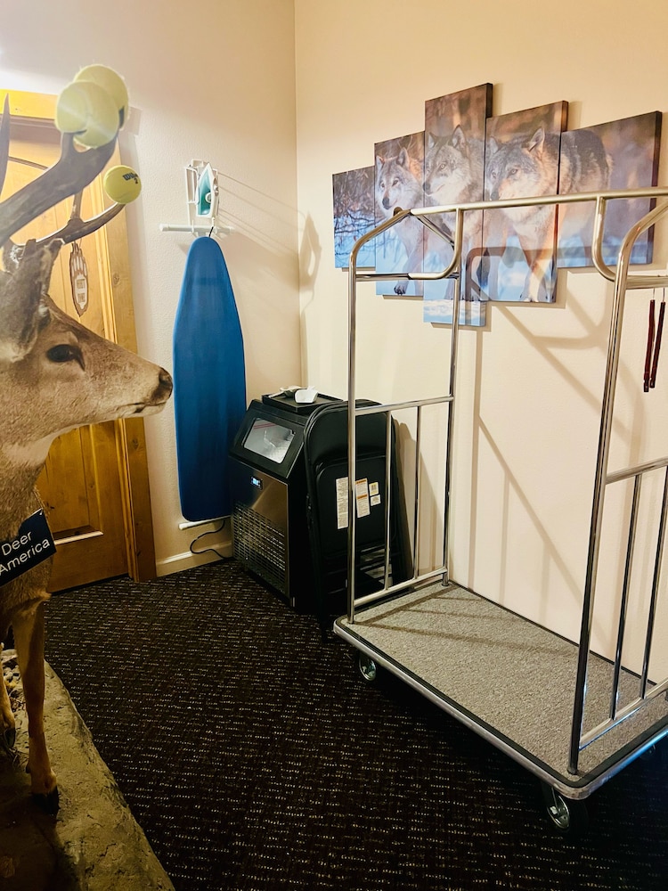 Grizzly Lodge Motel