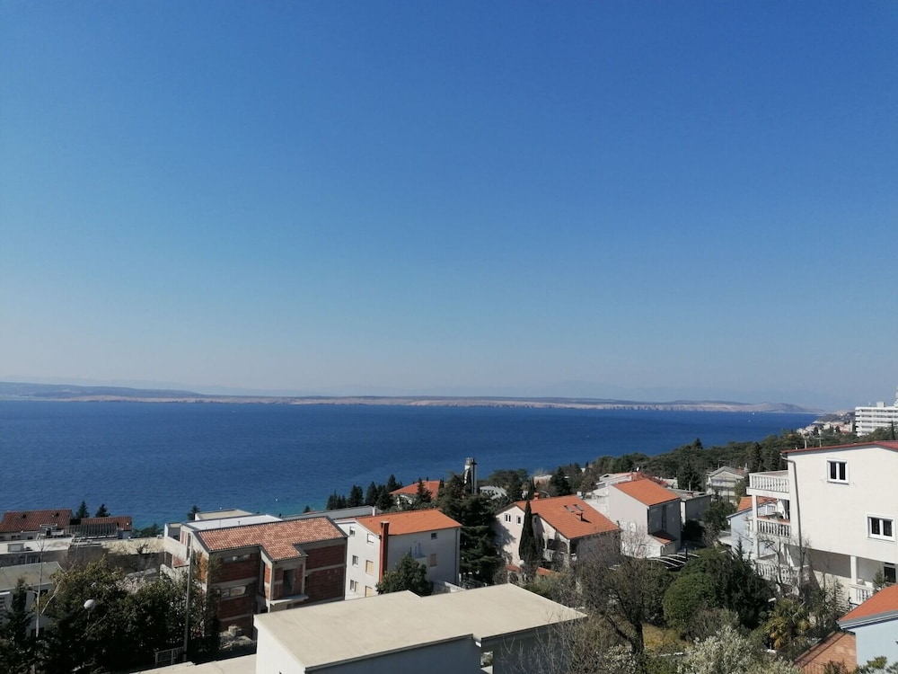 Olgi - Free Parking - A4 view 5