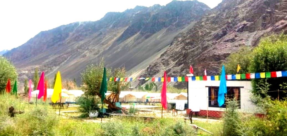 Shyok camp