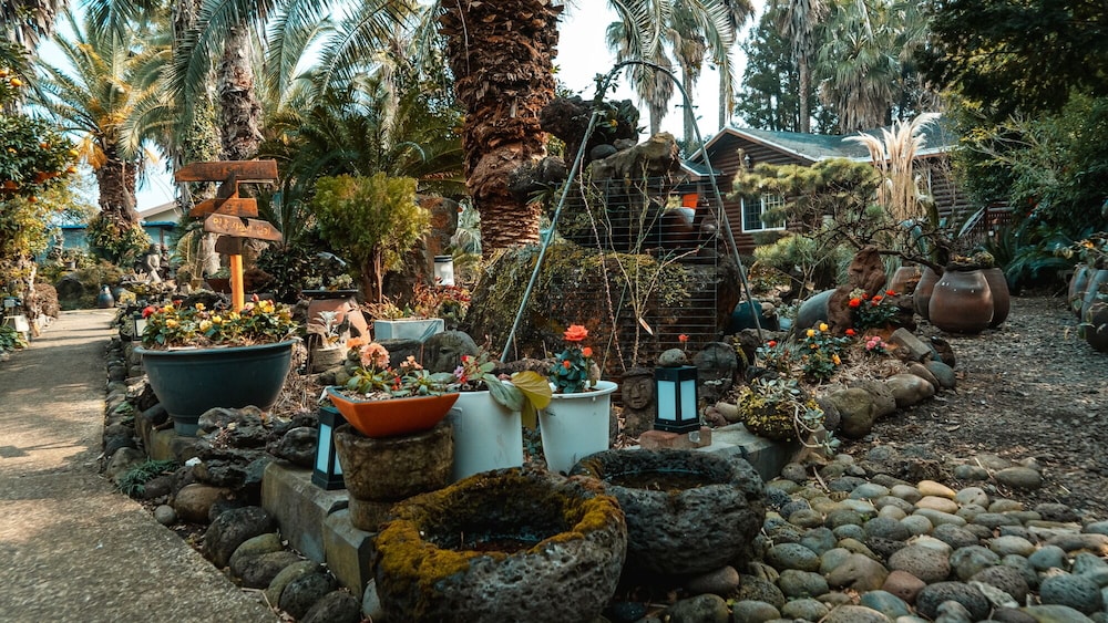 Valley Log Pension