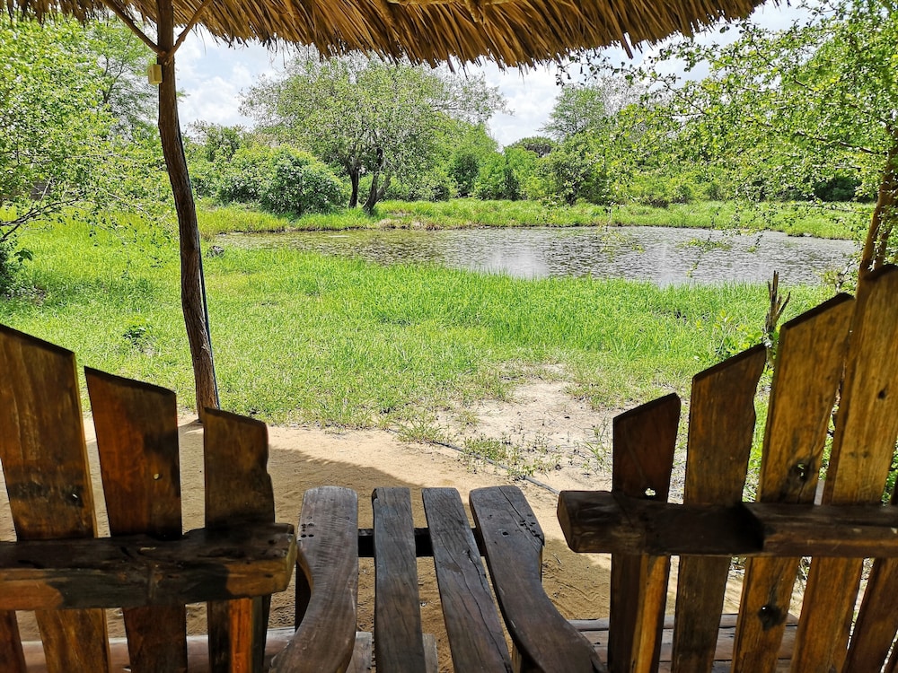 Africa Safari Selous