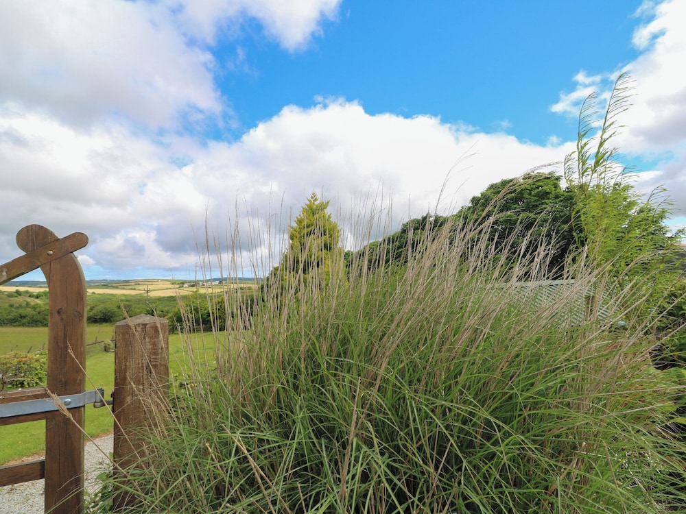 Cuckoo's Rest
