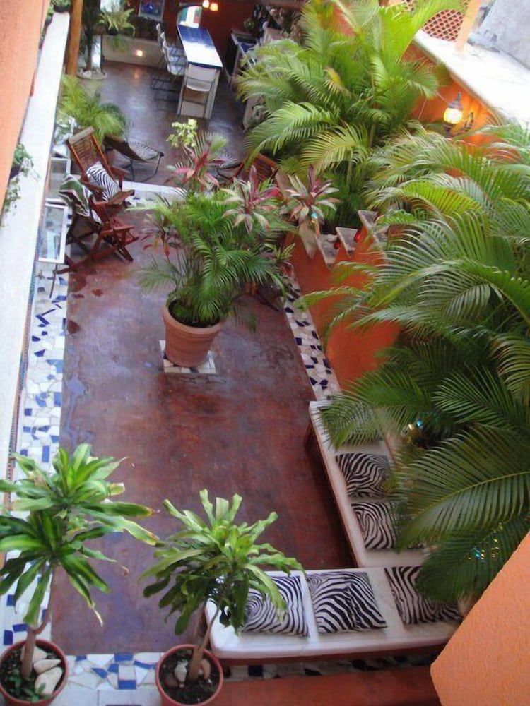 Hostelito Hostal