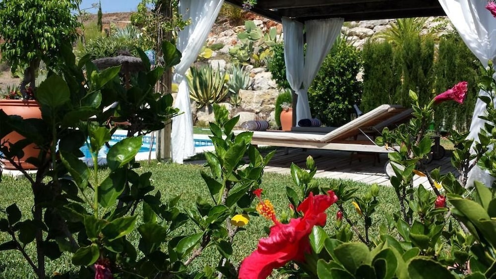 Photo 17