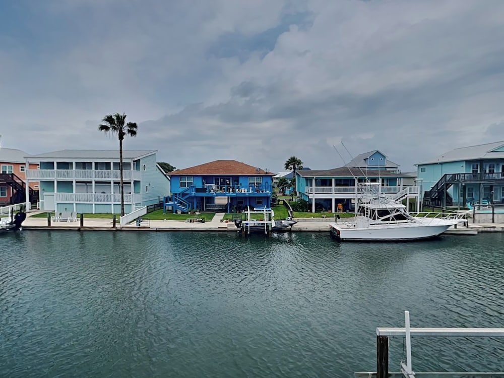 Dolphin Paradise by Miss Kitty’s
