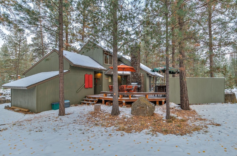 Pine Needle Lane 7