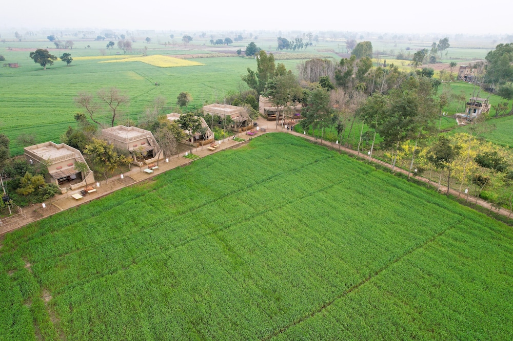 Punjab village farm near Amritsar