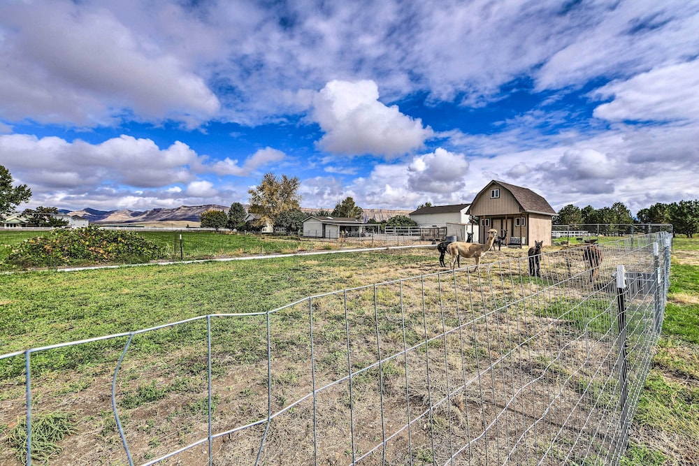 The Vineyard Country Farm Home at Grand Valley view 4