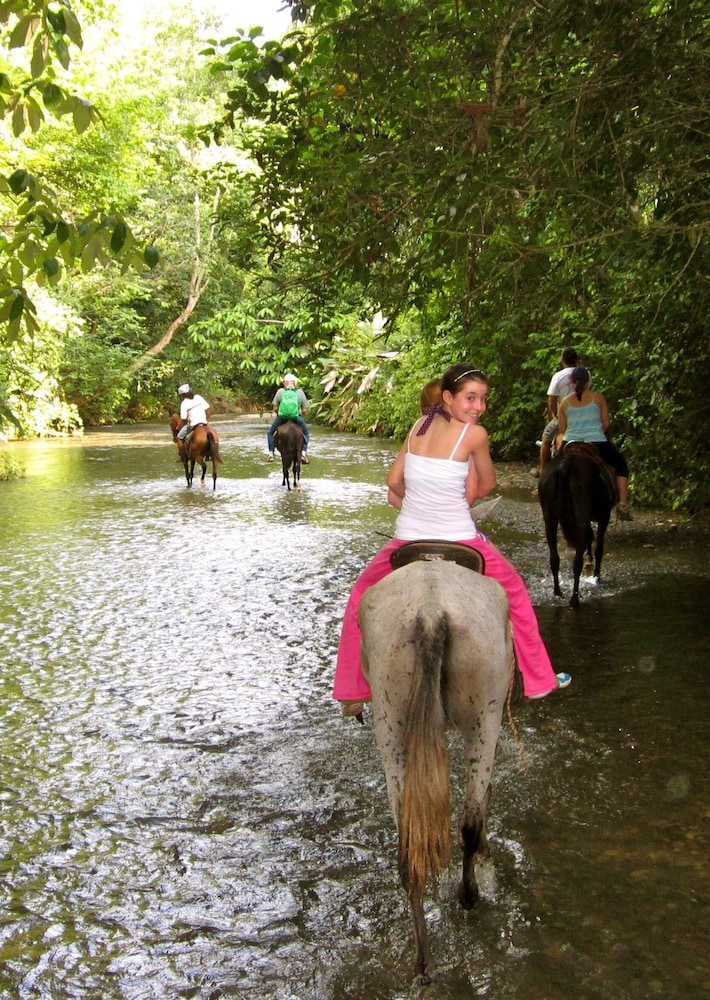 Bosque del Cabo Rain Forest Lodge