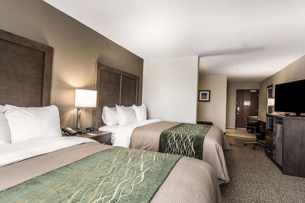 Comfort Inn & Suites Snyder