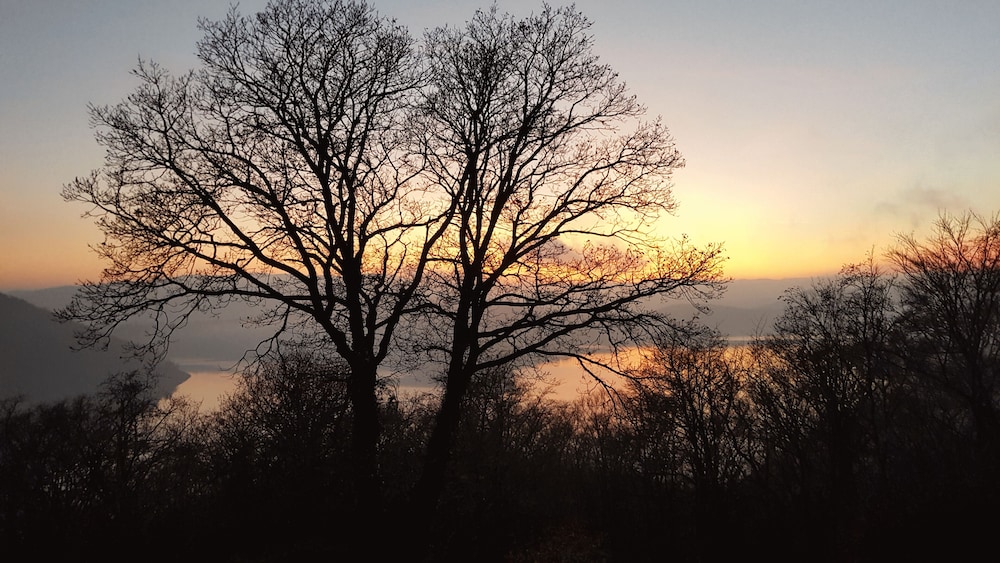 Friedrichs Ferienwohnungen view 5