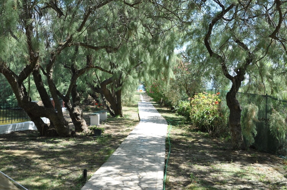 Photo 8
