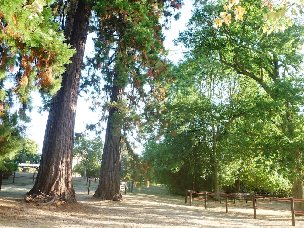 Les Tuileries du Buisson view 3