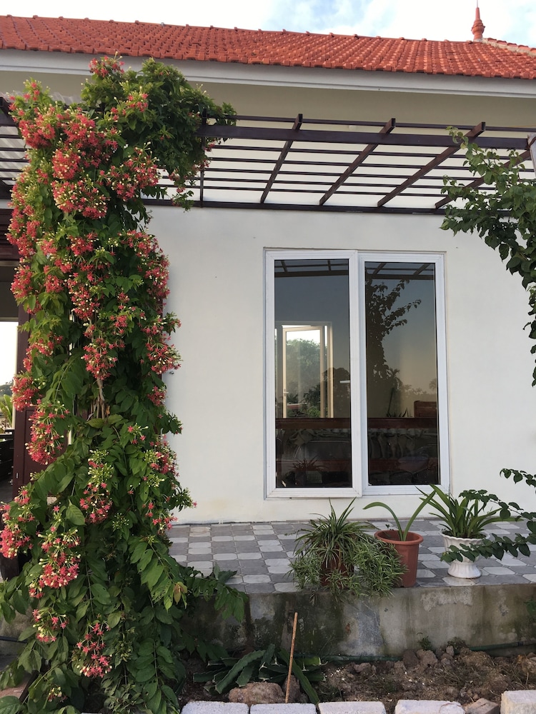 Lotus House