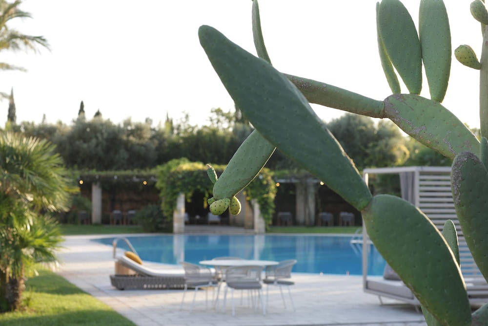 Masseria Antonio Augusto, photo 59
