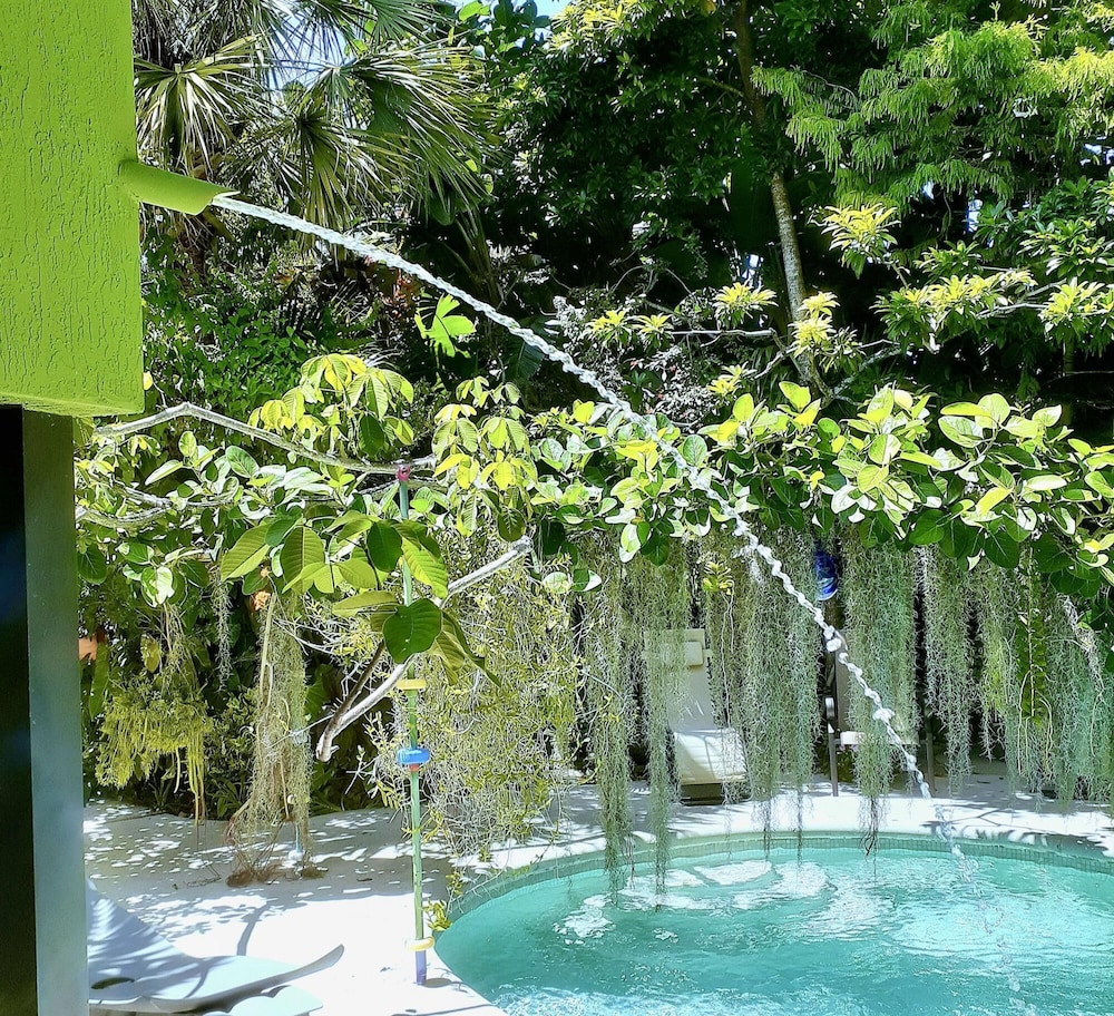 Unique Art Nature Hideaway Walkable to Wilton Drive view 3