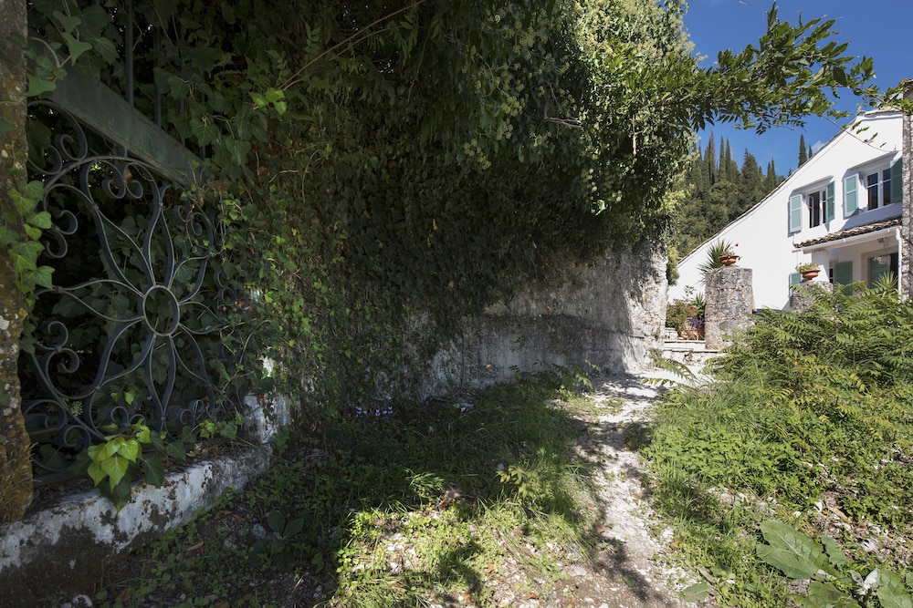 Photo 46