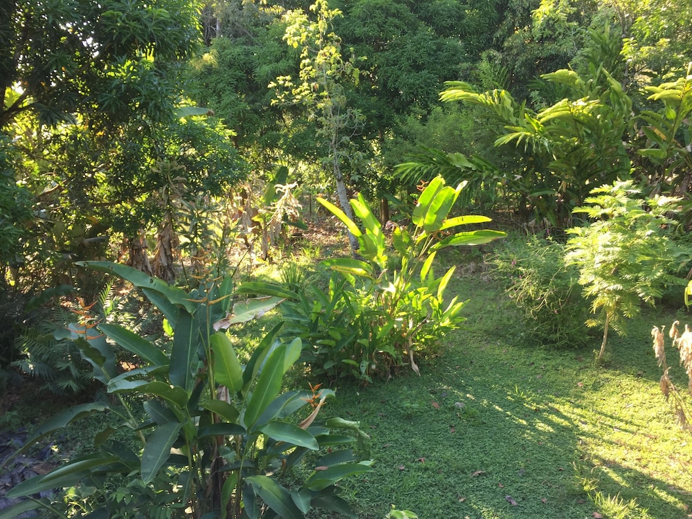 Photo 26