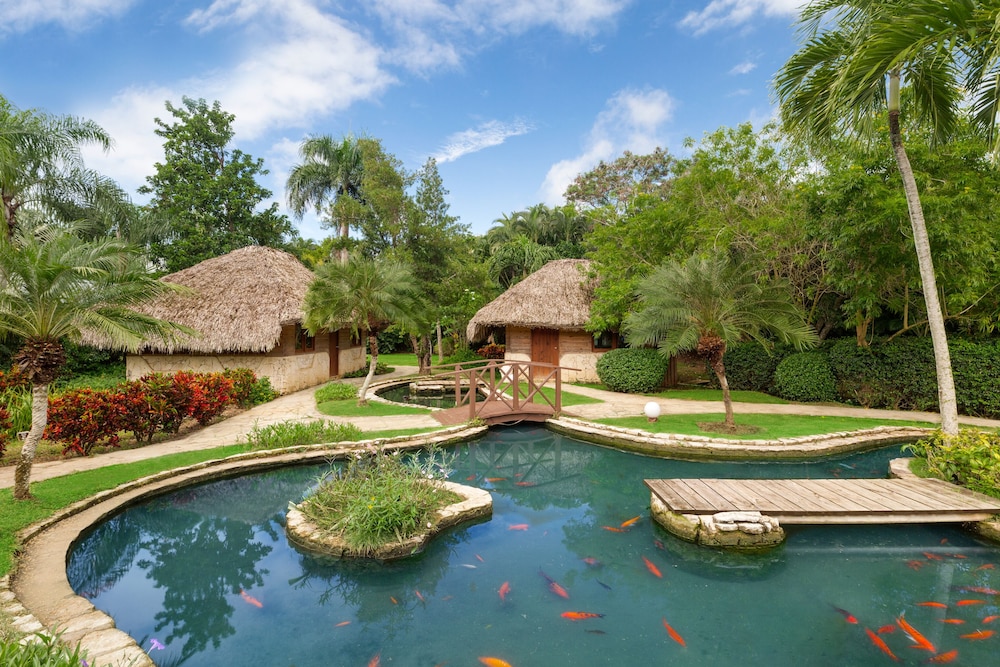 Dreams La Romana Resort & Spa - All Inclusive - Photo 47