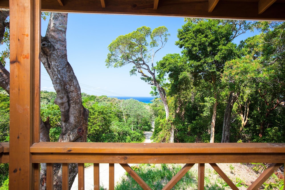 Tree House on Linda Vista Drive