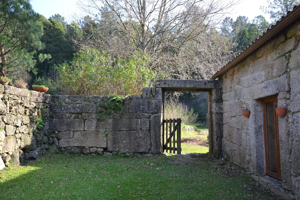 Photo 45