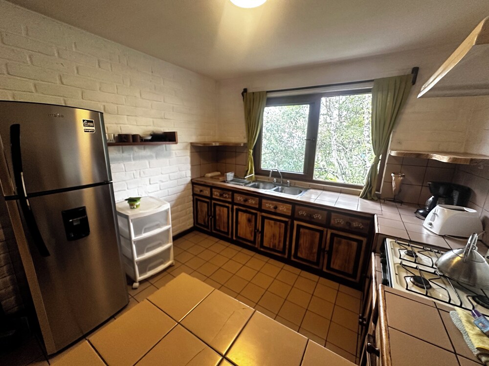 Apartamentos Otorongo