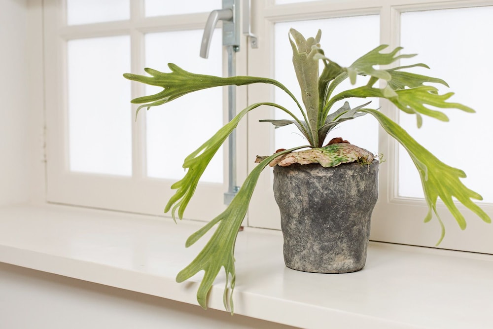 Canal Garden Apartment 11