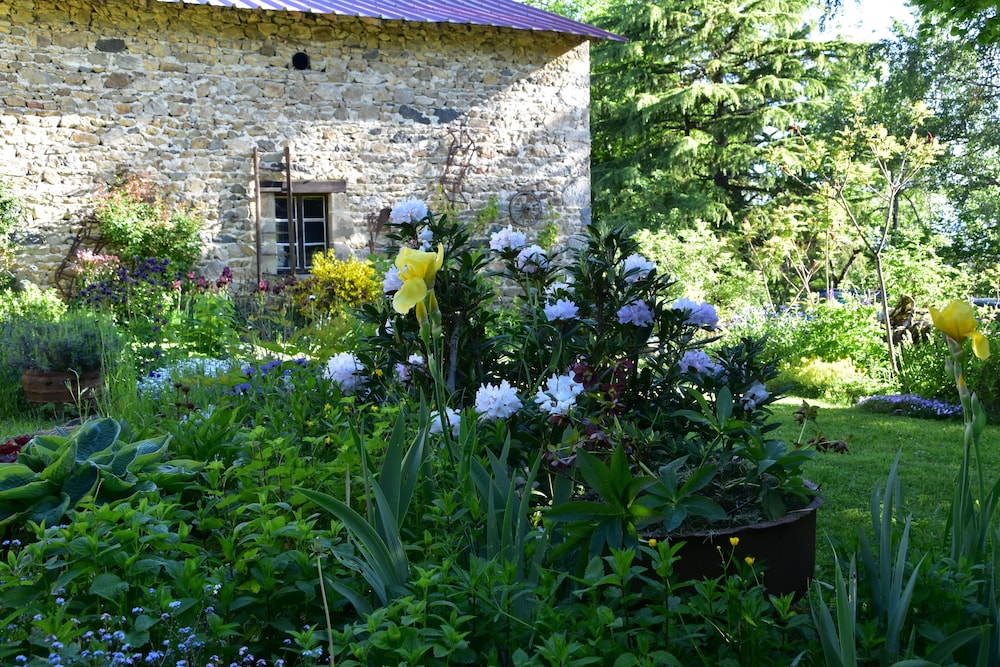 Photo 20