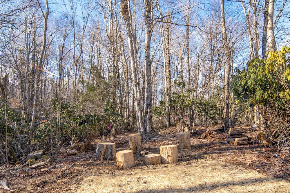 2 Mi to Beech Mtn Resort! 8,000-sq-ft Luxe Escape