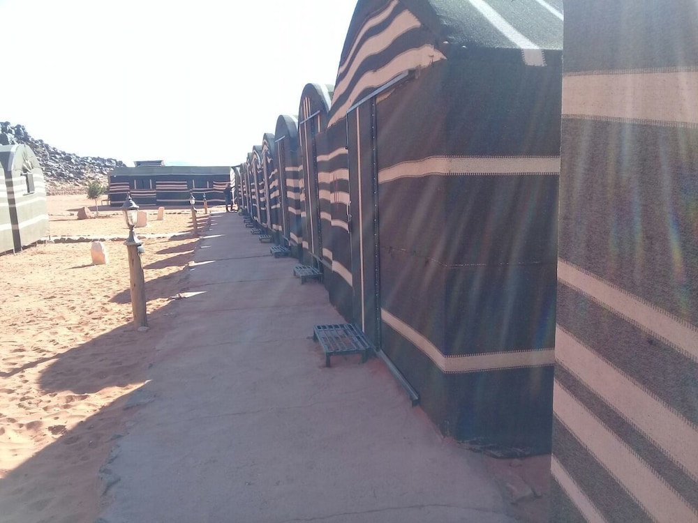 Wildlife Camp