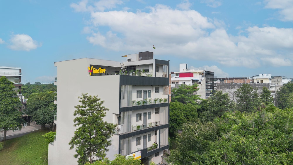 Lime Tree Hotel & Stays Greater Noida Nearby India Expo Centre & Mart