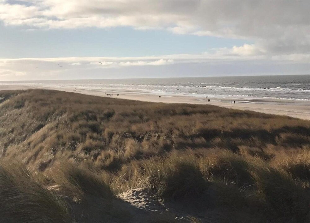Apartment in Petten Near the Beach