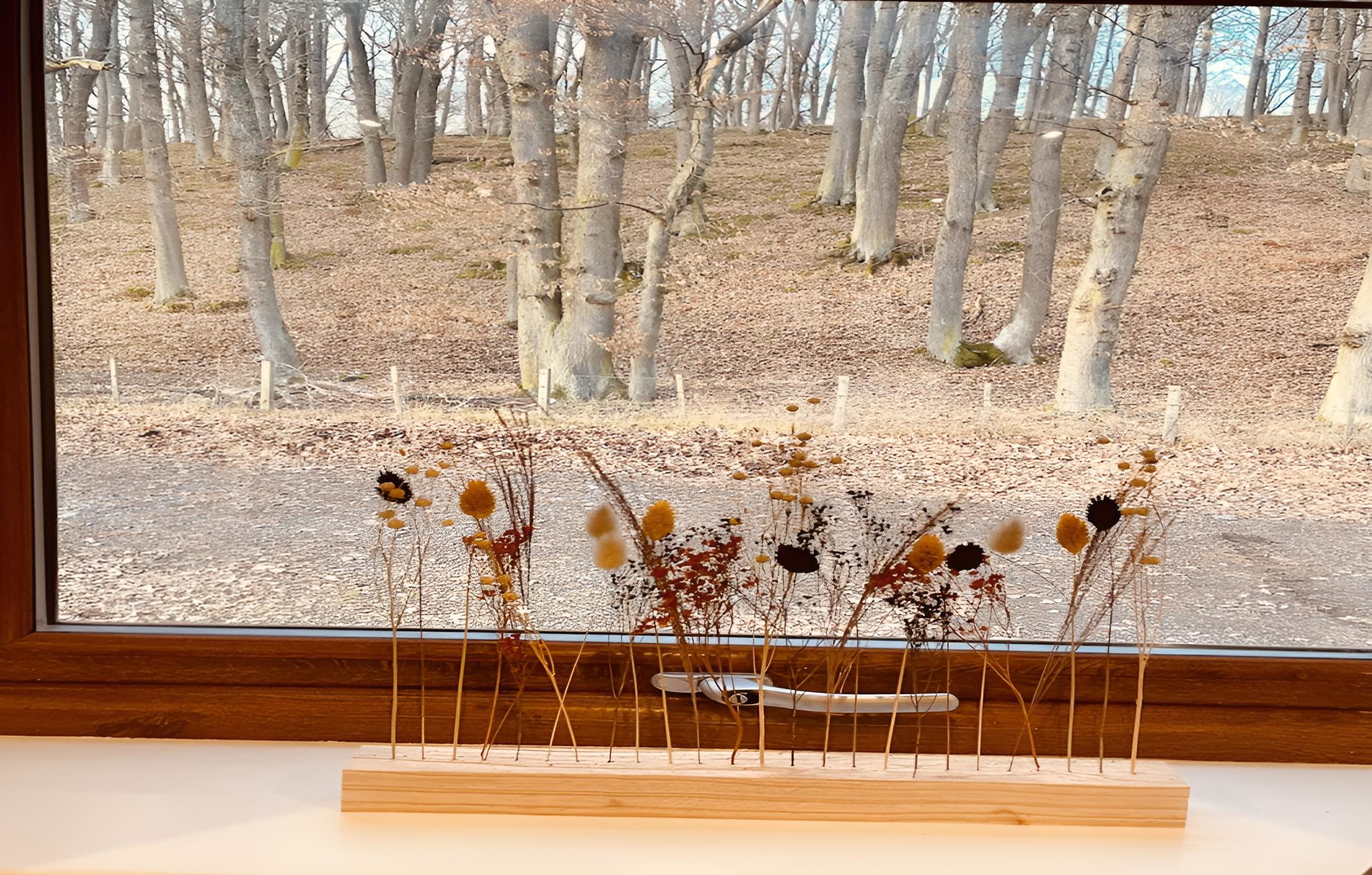 Stag's Hide view 4