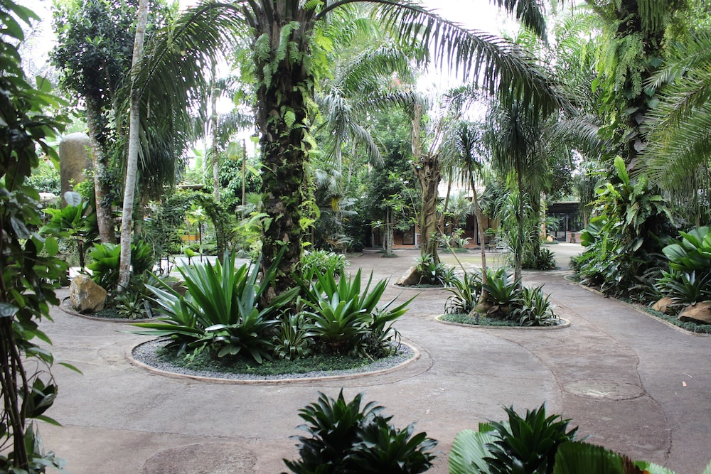 The Jungle Pots