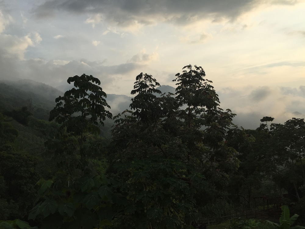 Finca Cafetera San Rafael