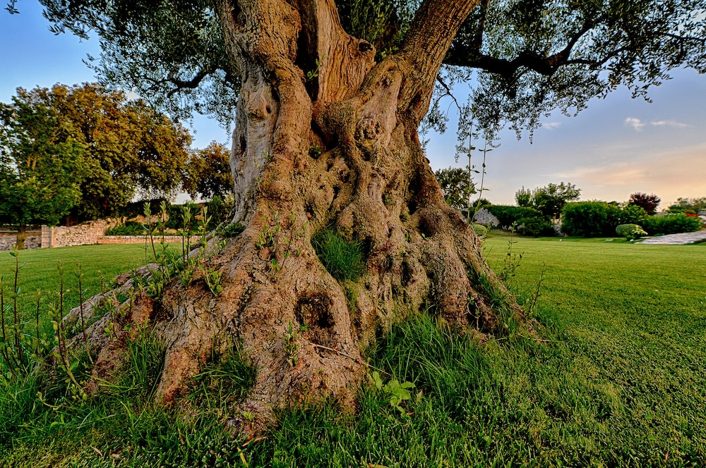 Masseria Luco