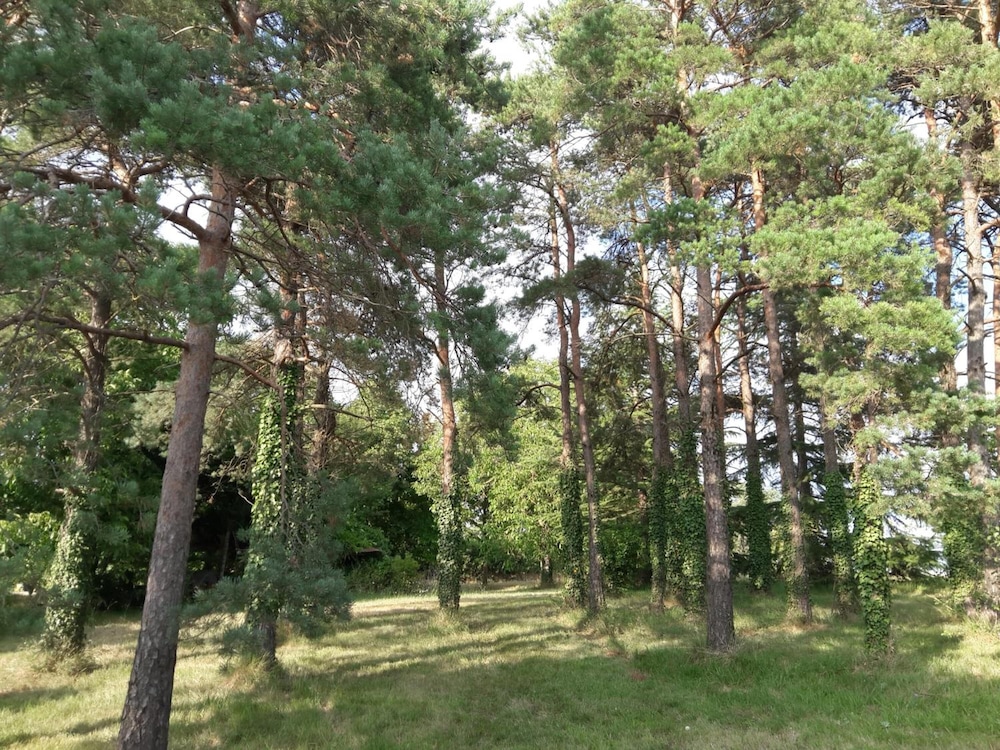Photo 38