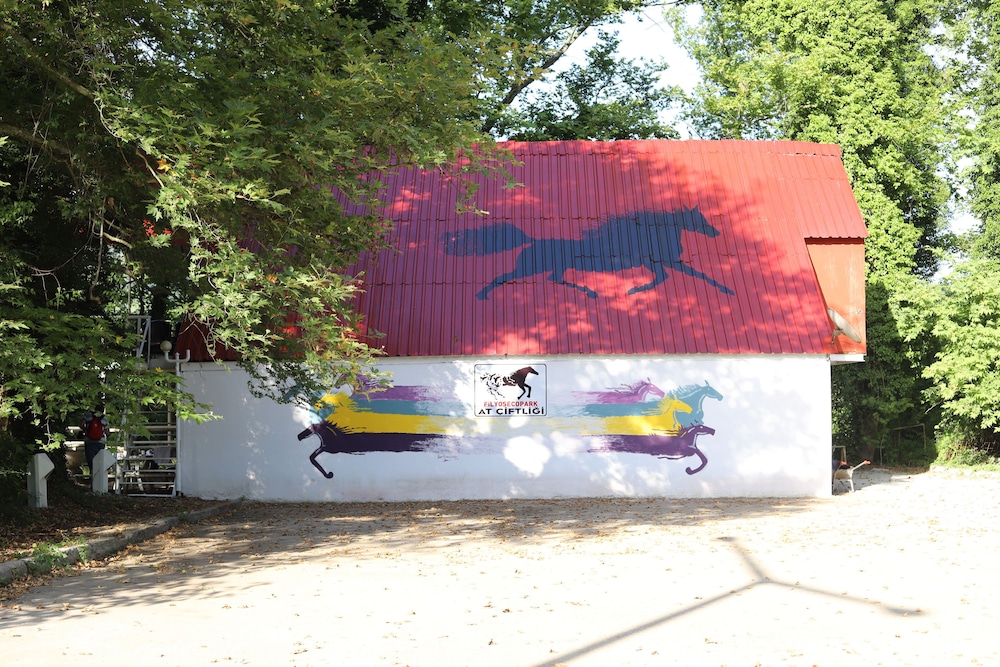 Filyos Ecopark - Property Image 8