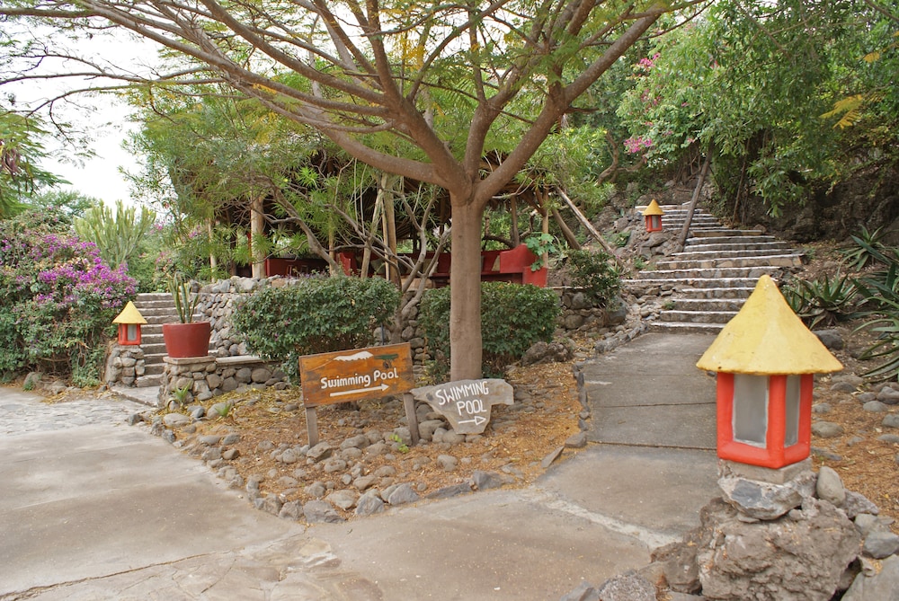 Photo 21