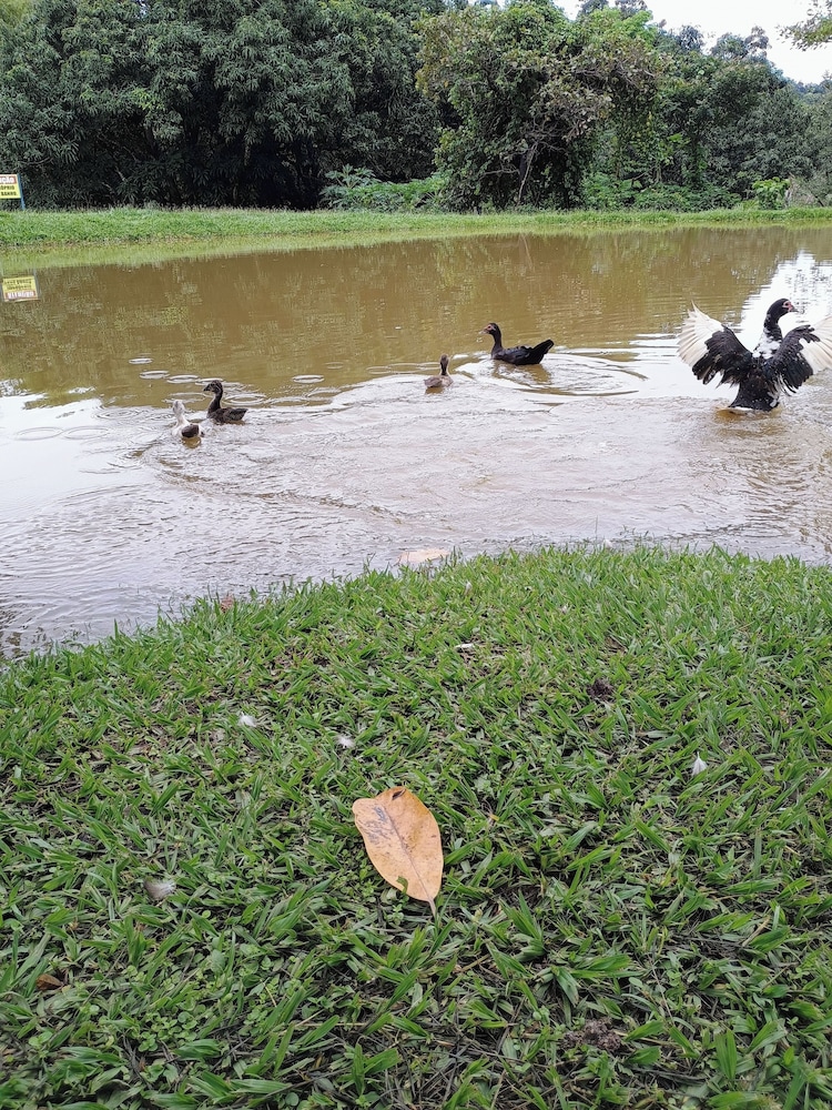 Hotel Fazenda Aguas VIvas