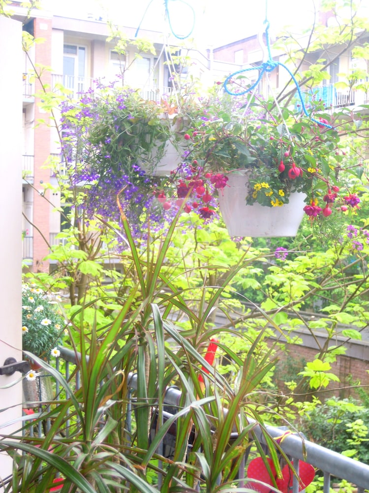 Miss Ortelia b&b