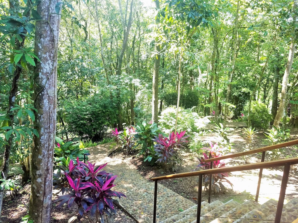 Belize Vacations - Table Rock Jungle Lodge - Property Image 22